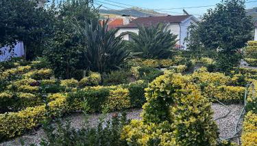 Casa Teles - Foto 1, Garden, Garden view
