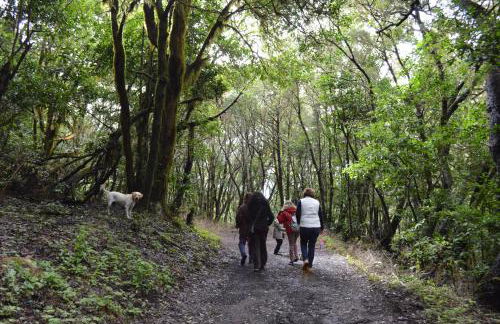 Casa Abuelo Pepe - Foto 28