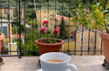 LA TERRAZZA DI MONTEROSSO - Photo 30