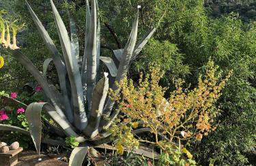 Rilia Cottagehouse - Foto 12