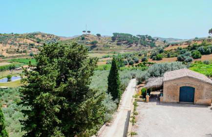 Tenuta Bartoli - Foto 23