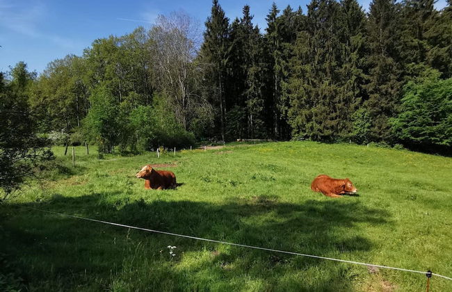 Cozy Apartment Near the Forest in Mark - Foto 33