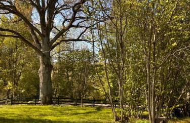 Powidoki Mazury - Foto 59