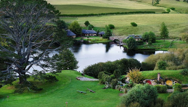 Excursão a Hobbiton - Foto 4