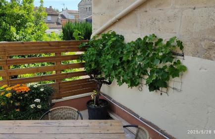 Les Bonbonieres d'Andrea Gavinies Pellegrin - Foto 39