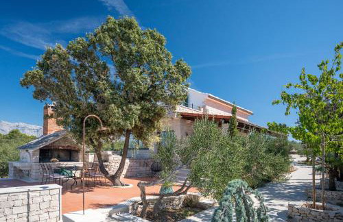 Olive Park House Brač - Photo 37