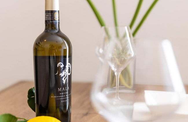 Villa Erna - Foto 17