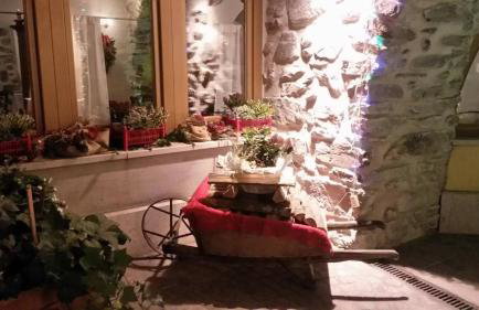 Casa Ciclamino Val Di Sole 10 pax 7 nights - Foto 22