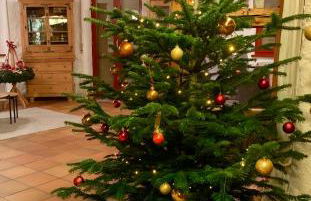 Altmuehl Familienvilla - Foto 16