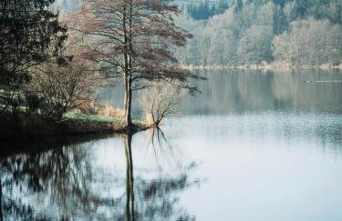 Haus am Burgturm Kronenburg - Foto 18
