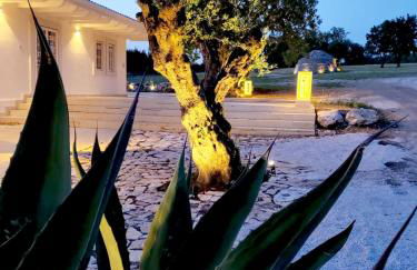 Terre di Sveva - Foto 32