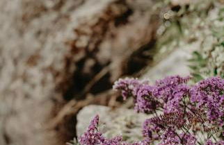 Casa do Bó Nel - Foto 50