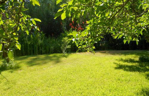 Quinta das Tamengas - Foto 11