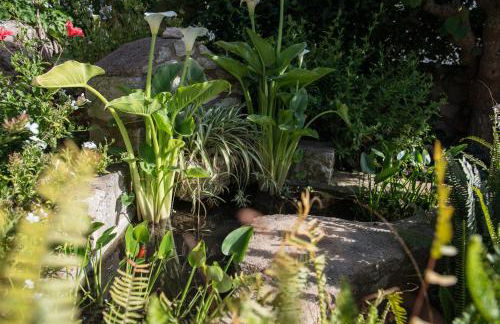 Villa Eleonas - Foto 49