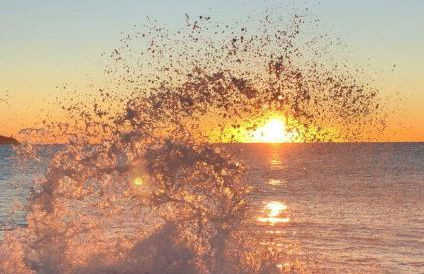 Maison neuve avec piscine chauffée, 4 kms de Contis plage - Foto 28