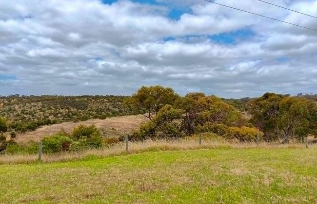 The Ultimate Poolside Escape - Pet Friendly - Foto 25