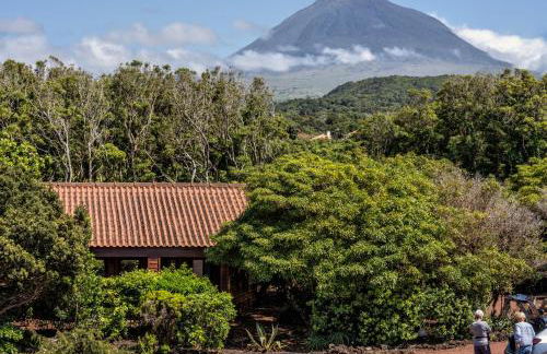 Alma do Pico - Nature Residence - Photo 25