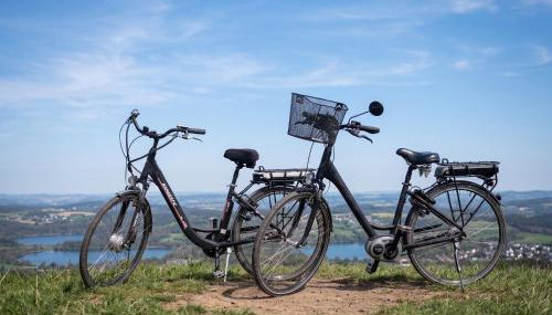 Tiny House Anneliese, Klimaanlage, E-Bikes, Hunde ok - Foto 2