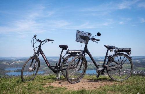 Backhaus-Vulkaneifel, Gerolstein, Klimaanlage, E-Bikes, Hunde ok - Foto 3