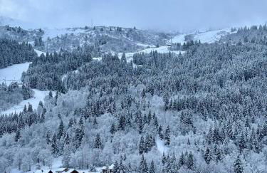 Appartement 4 personnes - Magnifique vue montagne - Foto 19