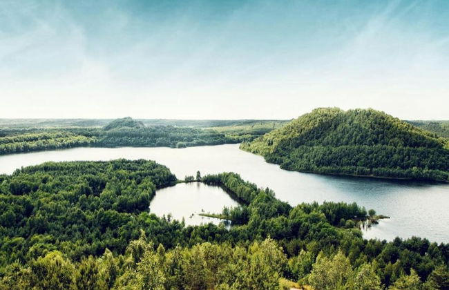 Forest Chalet in Lanklaar - Foto 38