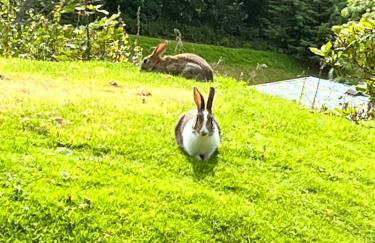 JS Holidays The Westmorland Lagganhouse - Foto 53