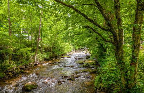 Pointer's Point - Foto 21