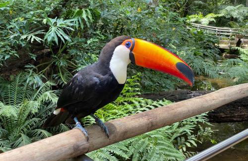 M3 - Apartamento CANCUN em ótima localização - Foto 18