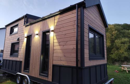 Dauny House - Photo 7