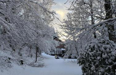 Alte Mühle- Das Ferienhaus im Grünen - Foto 10