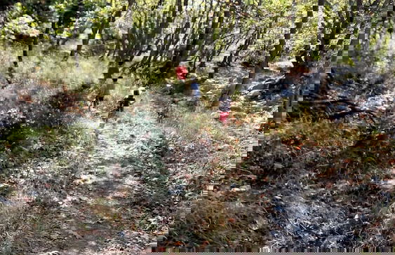 To Palio Litohoro - Foto 42