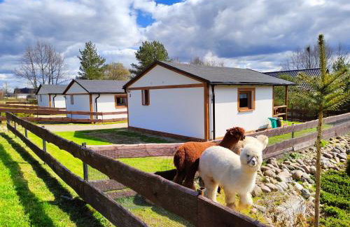 Agroturystyka Zagroda Alpaka - Foto 1