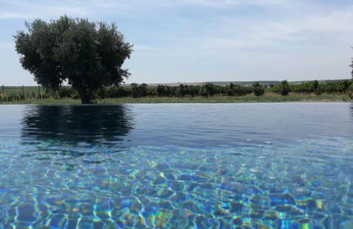 Terras - Agroturismo & Vinhos - Foto 4