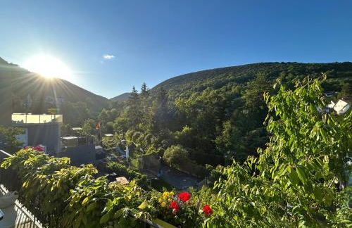 Pfälzer Traumblick - Foto 1