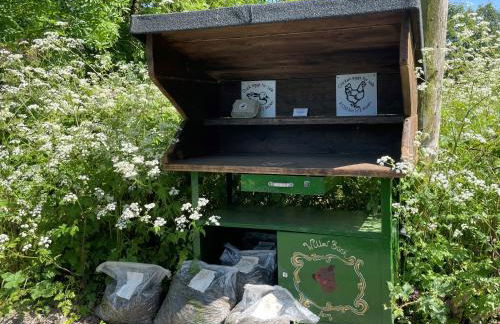 The Coach House at Lackington Farm - Photo 45