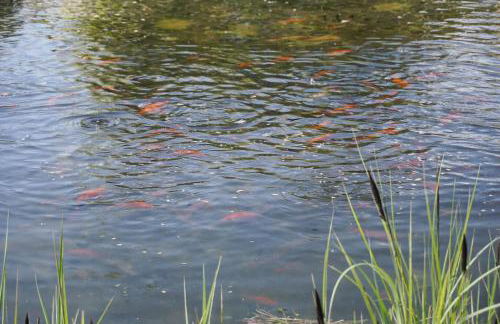 Exklusive LOFT-Wohnung, nur 30 Min von Zürich - Foto 34