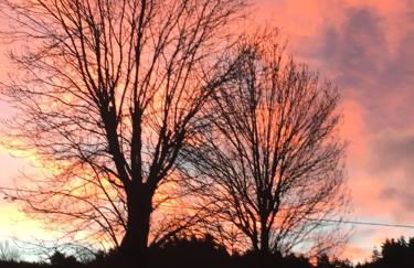 Ô pré de jade - Foto 15