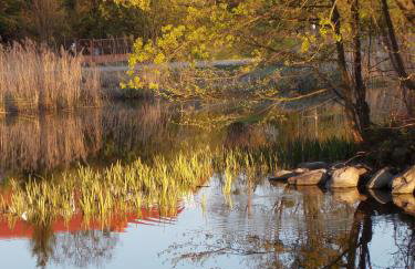 Dom Gościnny Ogłuszka - Foto 18
