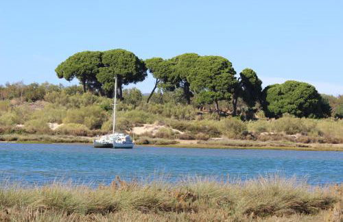 Caia Formosa - Photo 21