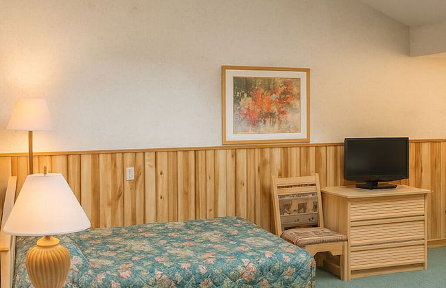 Smoketree Lodge - Foto 9