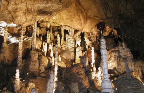 Ferienhaus am Hahnenkopf - Foto 23