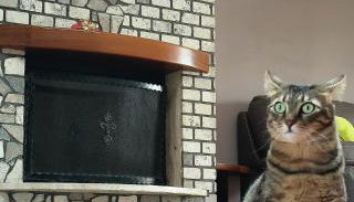 Casa vacanze Annina - Foto 2