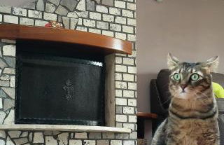 Casa vacanze Annina - Foto 2