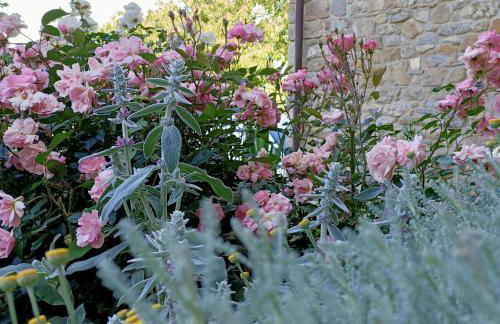 Agriturismo La Casetta - ospitalità rurale familiare - Foto 28