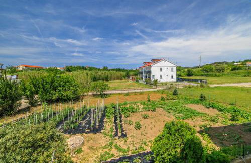 Apartments Milorad M - Foto 70