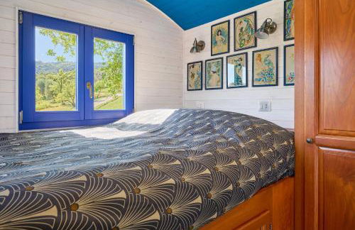 Poggio Diavolino - Suvereto - Foto 33