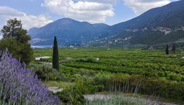 Melissafarm Guest House - Foto 5