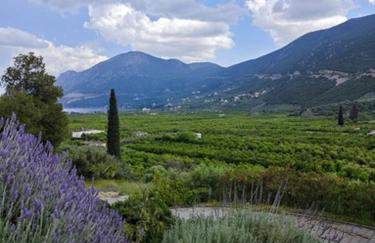 Melissafarm Guest House - Photo 4