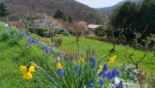 Ferienwohnung zum Märchenwald - Foto 3, Garden