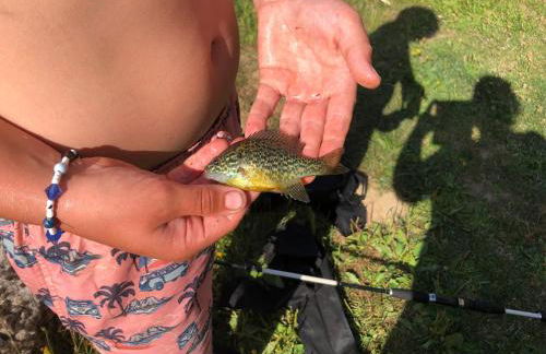 Maison Moulin Martin - Foto 47